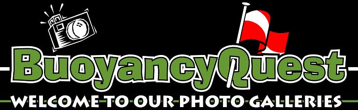 buoyancyquest photo galleries