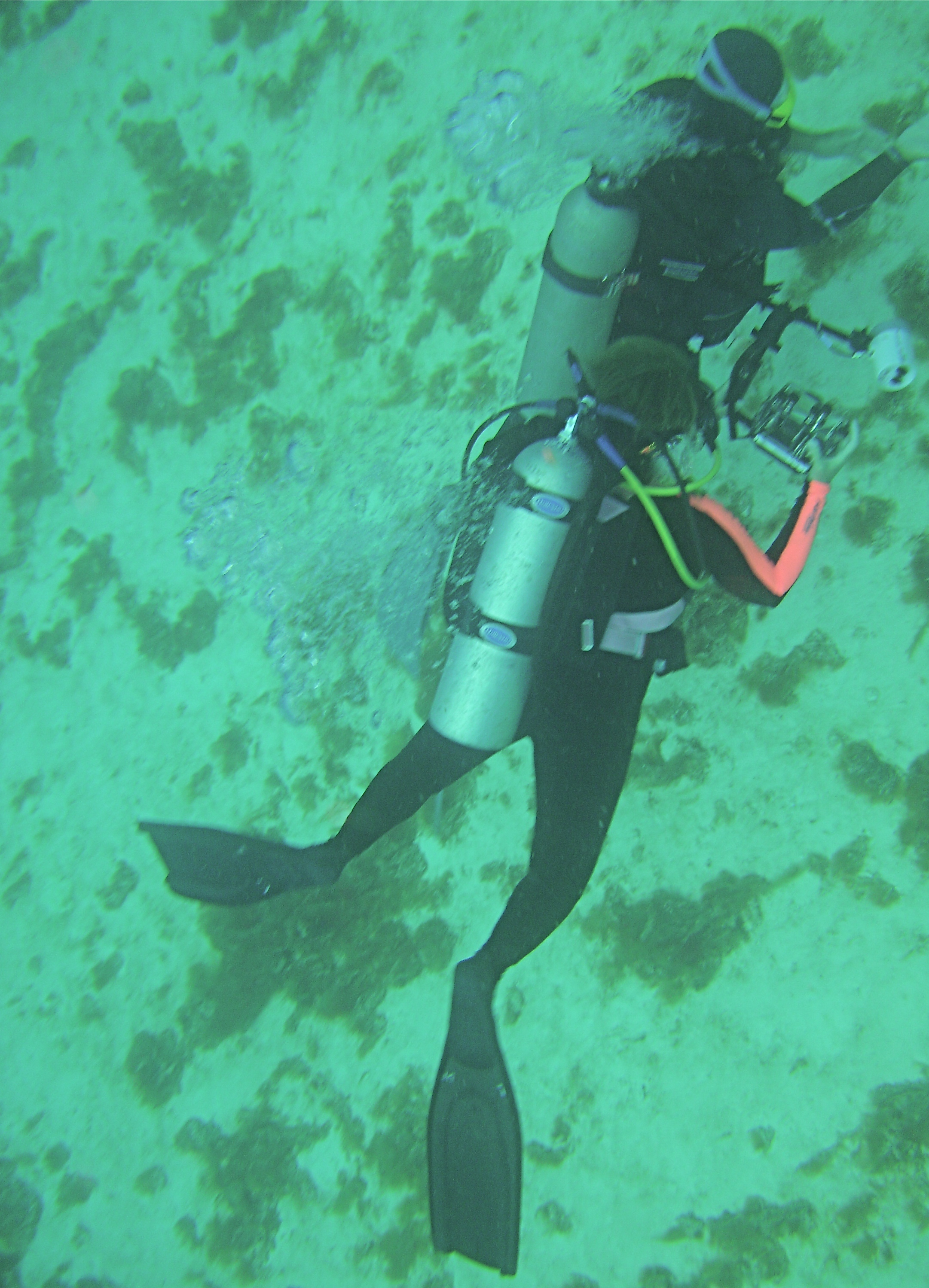 2 DIVERS in a DOWN CURRENT ~ COZUMEL