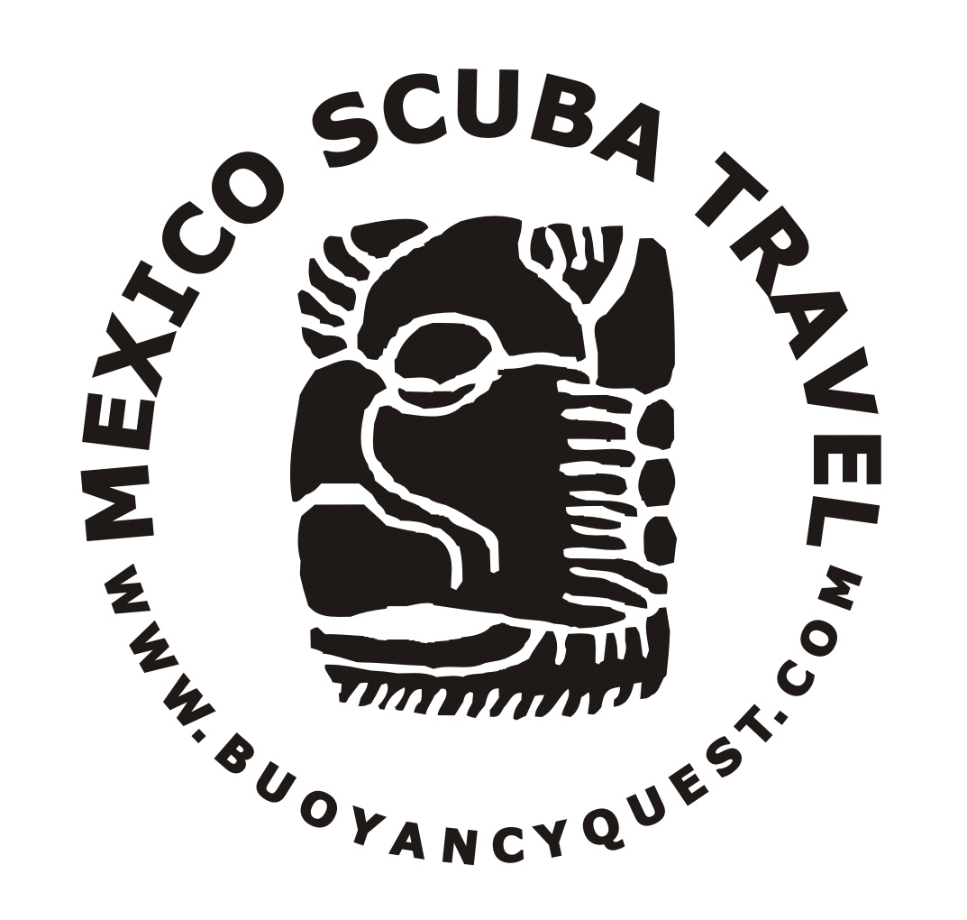 scuba travel with training