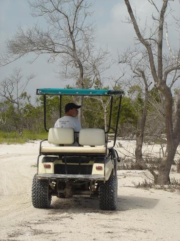 holbox golf cart