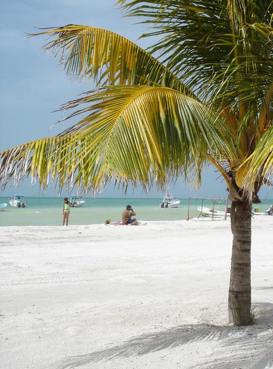 holbox