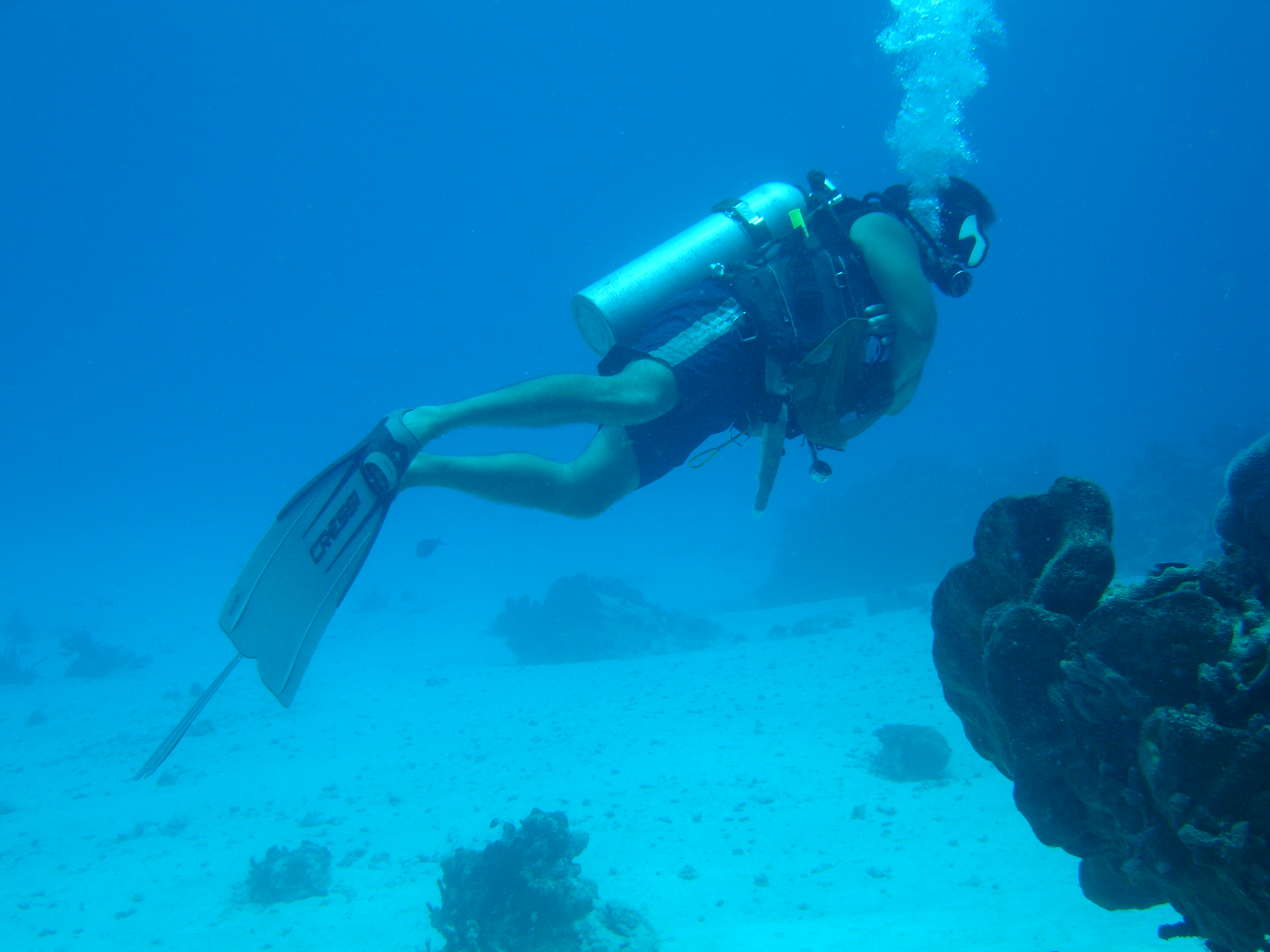 LONG FINS